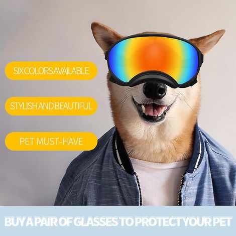 Lunettes pour chien Red Slice à sangle réglable avec protection UV, contre le vent, la poussière et la buée (1/5)
