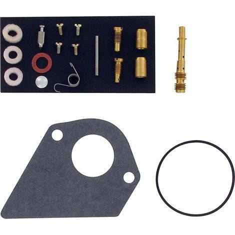 Dichtungssatz reparatursatz vergaser BRIGGS ET STRATTON 497481 - 496622