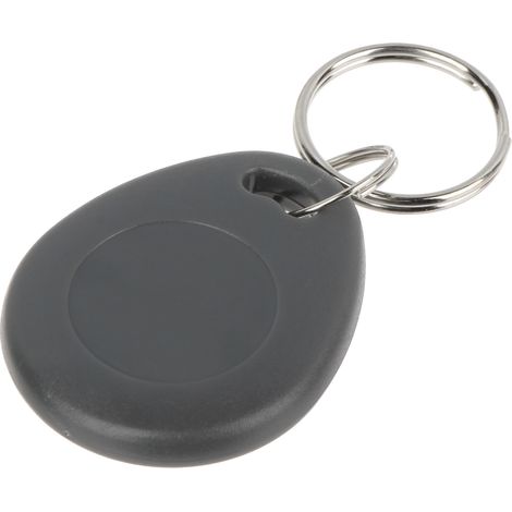 Atlo-534/G RFID-Proximity-Schlüsselanhänger (1/2)