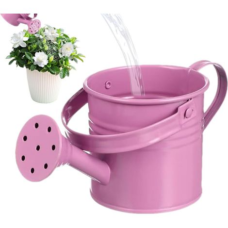 Arrosoir de Jardin - Pot d'Arrosage en Fer Galvanisé pour - Pot à Fleurs Décoratif avec Poignée Ergonomique pour Pelouse Jardin Terrasse - Idéal Cadeau Famille Amis Jardiniers (1/5)