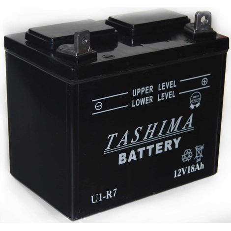 Batterie Plomb Tashima Pour Tondeuse Autoportée 12v, 18a. L: 195, L: 130, H:185mm, + à Droite. (livrée Sans Acide). - Batterie à