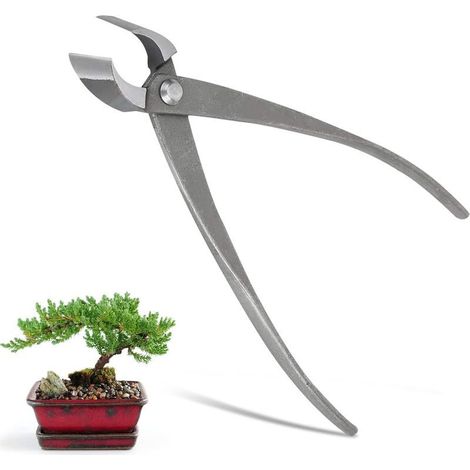 Coupe-bonsaï concave, Branch Cutter, Main Bonsaï Cutter Branche Cutter, Pince à Bonsaï Concave Coupe Droite, Pince à Bonsaï Bonsai Sécateur Coupe-Branches Branch Cutter Outils pour Bonsaï, 21cm (1/5)