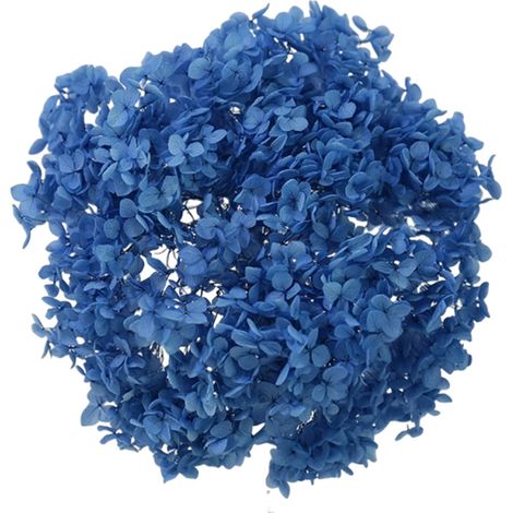 Hortensia Séchée - Bouquet Naturel Pour Décoration Maison Et Loisir Créatif Diy - 1 Pièce (1/5)