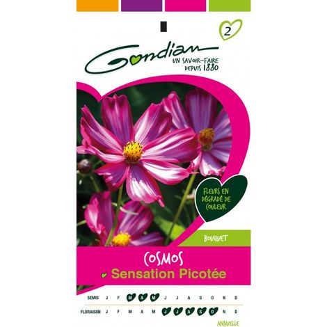 Gondian - Cosmo sensation picotée