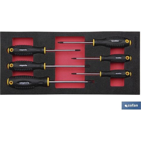 Module d'outils Torx à 6 pièces, mesurant 393 x 180 mm, adaptable aux tiroirs Cofan