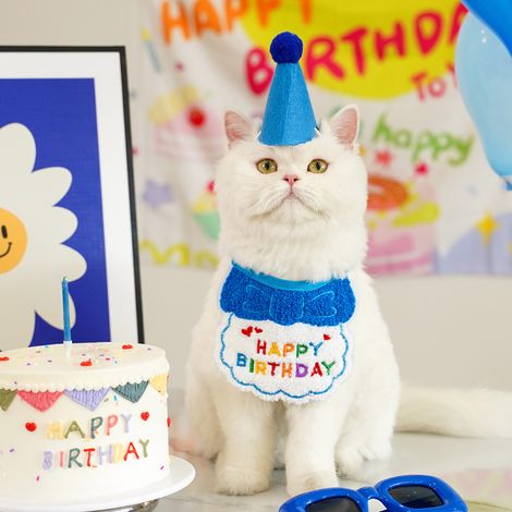 1 bavoir déguisement d'anniversaire pour chien ou chat - Bavoirs assortis mignons pour tous les jours - Chapeau en feutrine (1/4)