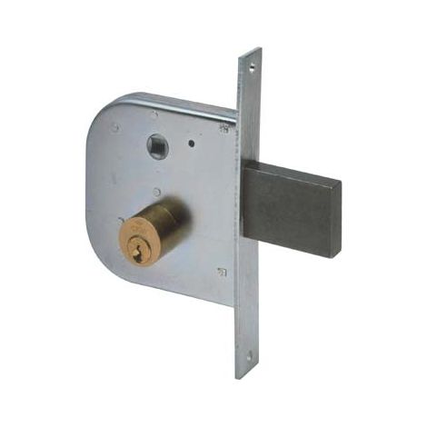 SERRATURA CANCELLO INFILARE 42310 CISA - B.Q ZINC F.MM 22 C.TONDO M1+SCR+Q8 E.MM 50- 2 pezzi