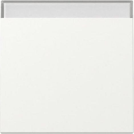 Gira WIPPE BSF SYSTEM 55 REINWEIß M (329927 SYSTEM 55)