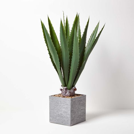 HOMESCAPES Artificial Agave Tree in Square White Pot, 100 cm Tall - Green (1/5)