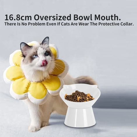 Gamelle surélevée pour chat inclinée à 15° bol ergonomique pour protection cervicale 16.8cm (1/5)