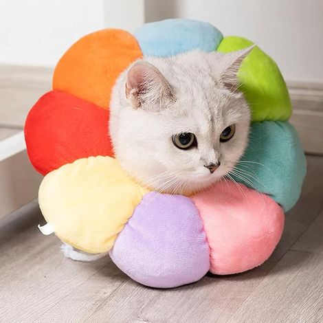 collerettes Pour Chiens Chat, Anti-morsure Protection Ajustable, Couleur, Pour Chats Et Chiens De Compagnie Pour Restaurer I'anti-morsure (1/5)
