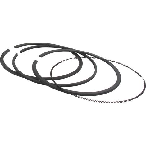 Segments BRIGGS ET STRATTON 696403