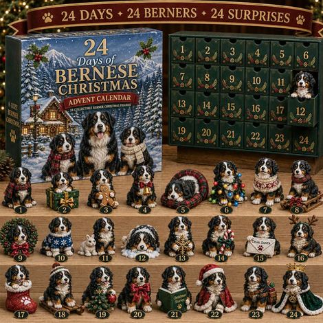 Calendrier de l'Avent Nouveau Bouvier Bernois 2026 - Modèle A -