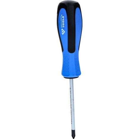 BRILLIANT TOOLS  Destornillador Phillips  PH1 x  80 mm  - BT031006 (1/4)