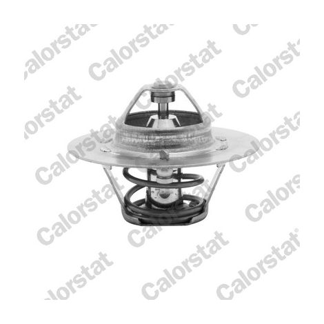 THERMOSTAT TH460880J VERNET