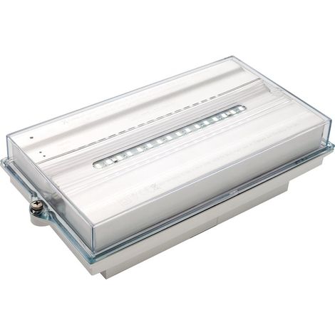 Boîtier étanche pour éclairage de secours « Smart » IP65/IK10 23,8x12,4x6,9cm couleur blanc