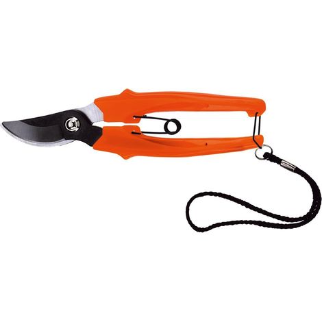 Stocker Forbice per fiori 17 cm (1/2)