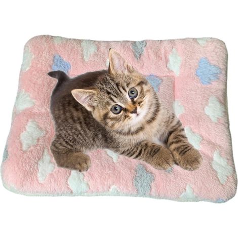 1 Couverture Apaisante Pour Chat, Flanelle Douce, Bords Surélevés, Lit Pour Chiot Et Chaton Intérieur