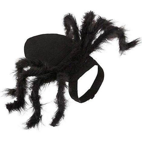 1 costume de chien pour décorations d'Halloween