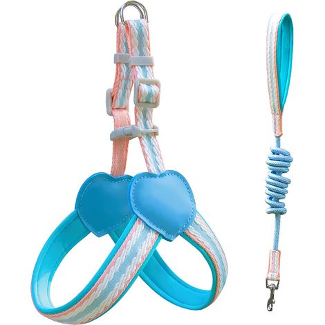 Ensemble harnais et laisse bleus pour chien, taille S, gilet en maille respirante ajustable avec sangles en nylon renforcées. (1/5)