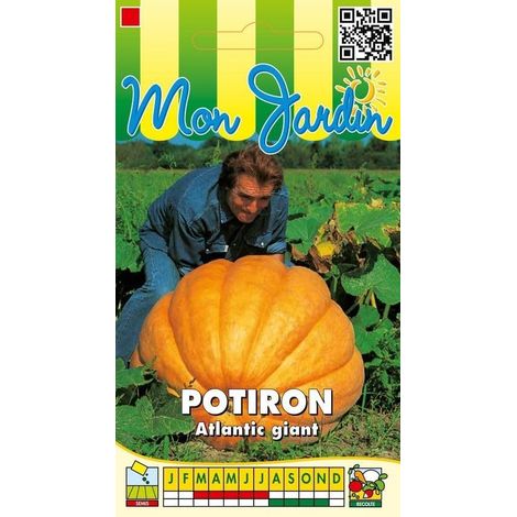 Sachet de graines de Potiron Atlantic Giant - 5 g - légume fruit - LES GRAINES BOCQUET (1/5)