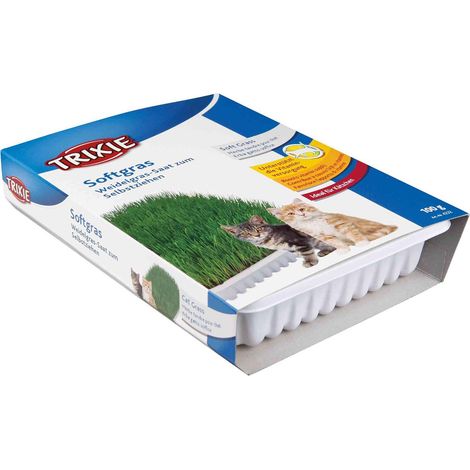 TRIXIE Bandeja hierba para gatos 100 g (1/3)