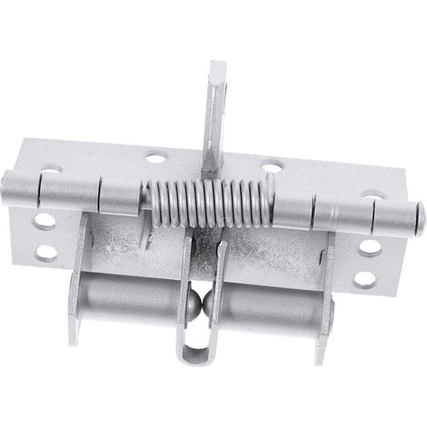 Charnière Automatique à Ressort inox Fixation (1/5)