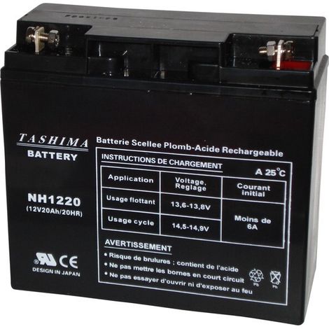 Batteria Tashima NH1220 100% Etanche CASTELGARDEN - HONDA - STIGA...