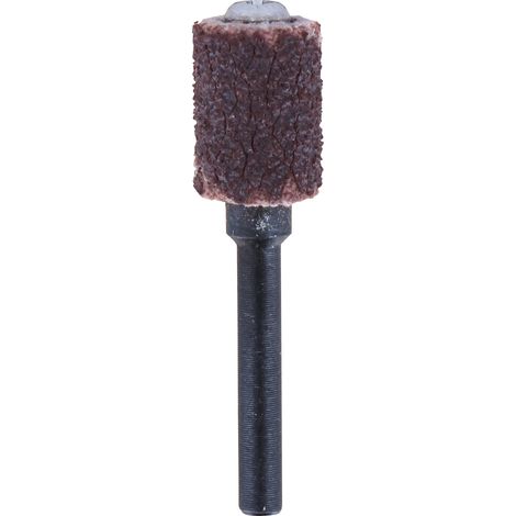 Bande abrasive Dremel 430 avec mandrin de ponçage - kit d'accessoires pour outil multifonction avec 1 bande abrasive et mandrin de ponçage, granulométrie 60 6,4 mm, pour le ponçage de l'aluminium, du (1/4)