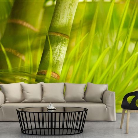 Papier peint bambou nature zen - 250 x 193 cm (1/4)