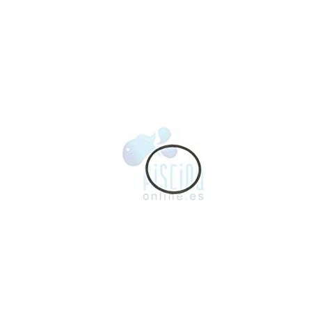 O-ring coperchio prefiltro pompa piscina Alaska - Sena D. 118x4 (1/2)