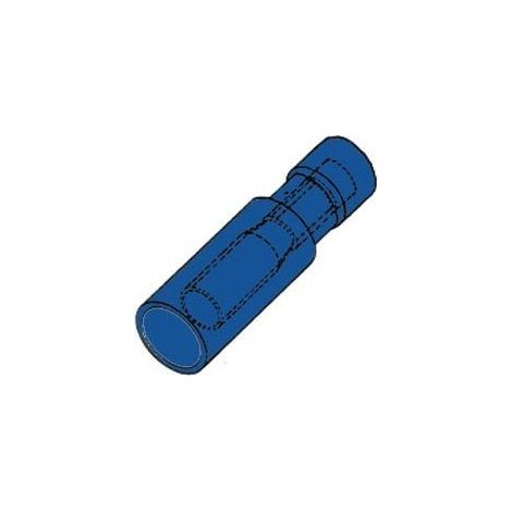 Cosse Cylindrique Femelle Bleue