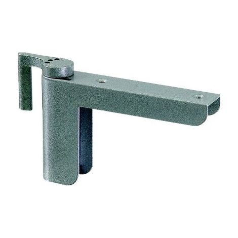 Cierrapuertas 2603 f.IT Gr.1 20kg plata ABUS