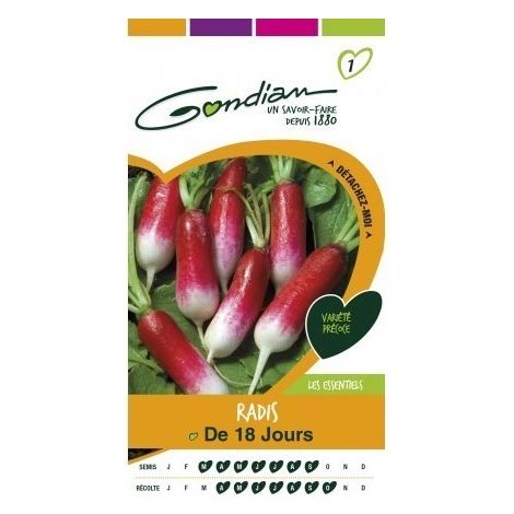 Gondian - Radis de 18 Jours