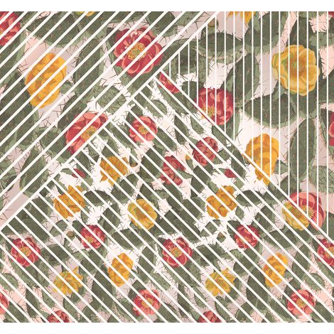 Papier peint panoramique classique,modern Cactus (1/4)