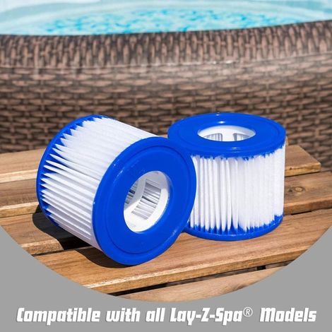 Cartouche filtrante Lay-Z-Spa VI pour tous les modèles Lay-Z-Spa (6 filtres)-AquaForge (1/3)