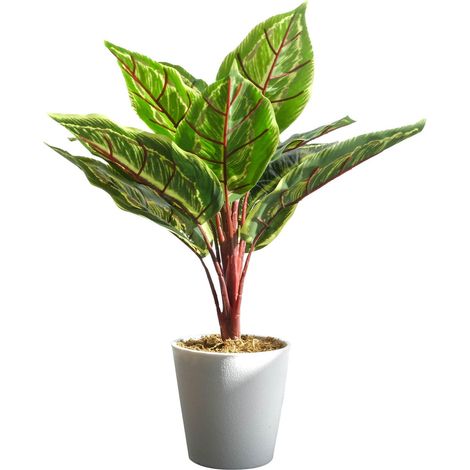 38cm Potted Artificial Calathea Veitchiane (1/4)