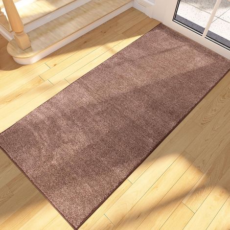 Paillasson Interieur Long 60 x 150 cm, Tapis d'Entrée Antidérapant et Lavable en Machine, Tapis de Sol Douces Absorbantes pour Chien, Entrée, Porte, Couloir, Passage et Cuisine (1/5)