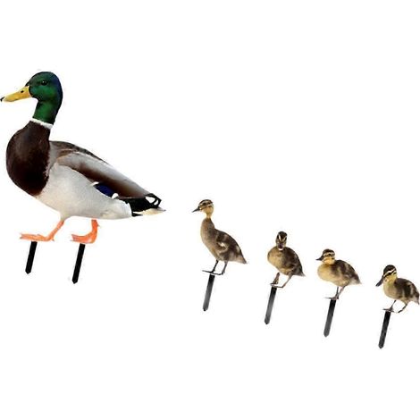 5-teiliges Set Entenstatuen, Gartenstecker, Tierskulpturen für Boden, Wege und Rasen (1/5)
