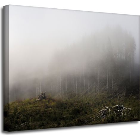 Leinwanddruck Natur Nebel im Wald 50x40 cm