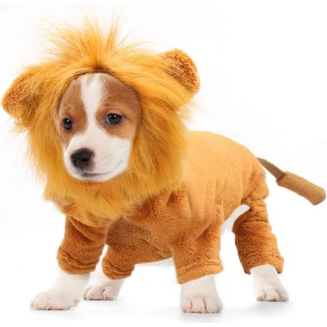 Costume Lion Pour Chien Et Chat - Déguisement Carnaval Avec Crinière En Polyester - Vêtement Hiver Pour Fête Et Photo - Taille Unique (1/5)