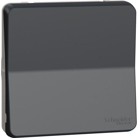 SCHNEIDER MUREVA STYL MUR35027 Druckknopf mit automatischer Verbindung IP55 IK08 Composable Anthrazitgrau