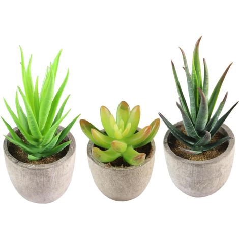 Plantes Succulentes Artificielles Résistantes en Plastique Lot de 3 sans Arrosage et Faciles à Entretenir Décoration Intérieure pour Maison et Écoles (1/5)