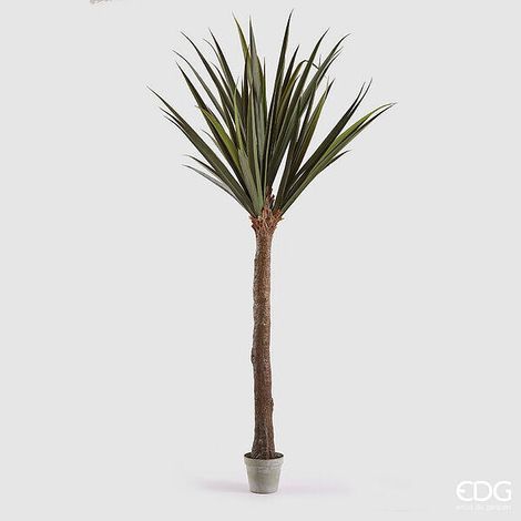 EDG Enzo De Gasperi Yucca con Vaso H 254 Cm Colore Verde