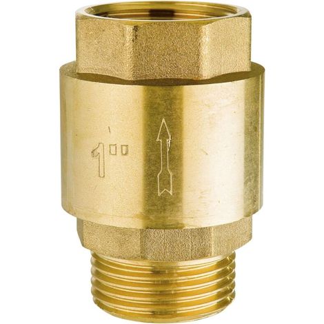 Válvula de retención de latón, rosca de entrada y salida de 1", apto para tuberías de agua, medidores de agua y calentadores de agua. (1/4)