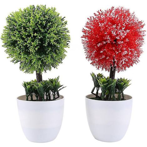 2 bonsaïs boule de neige (1/3)