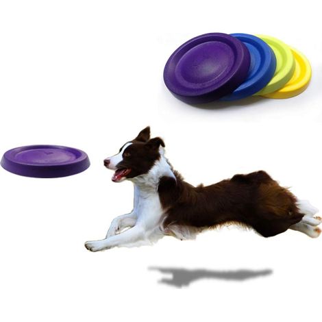 Jouet d'extérieur pour chien à lancer et rapporter, violet, pour l'entraînement des animaux de compagnie. (1/5)