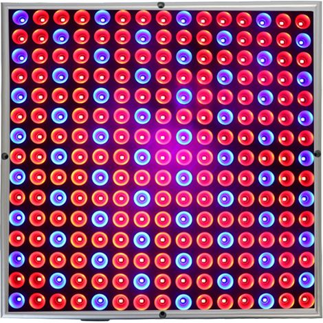 Lampe de culture LED 45 W à économie d'énergie, facile à utiliser, ampoule LED à spectre complet rouge/bleu 2835 pour la culture de bonsaïs et les serres (câble inclus)-AquaForge