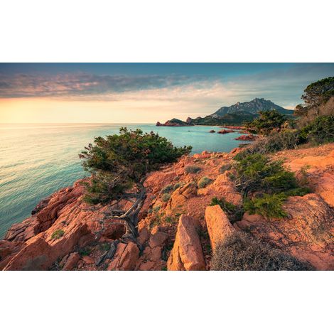Papier peint panoramique naturel Paradis II (1/4)
