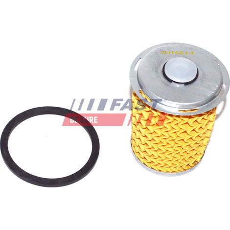 Kraftstofffilter FT39102 schnell